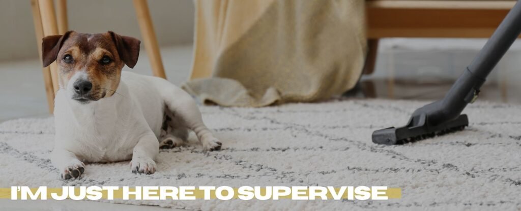 carpet-cleaning-duarte-ca
