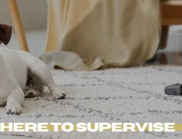 carpet-cleaning-duarte-ca